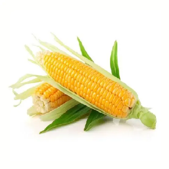 Кукуруза